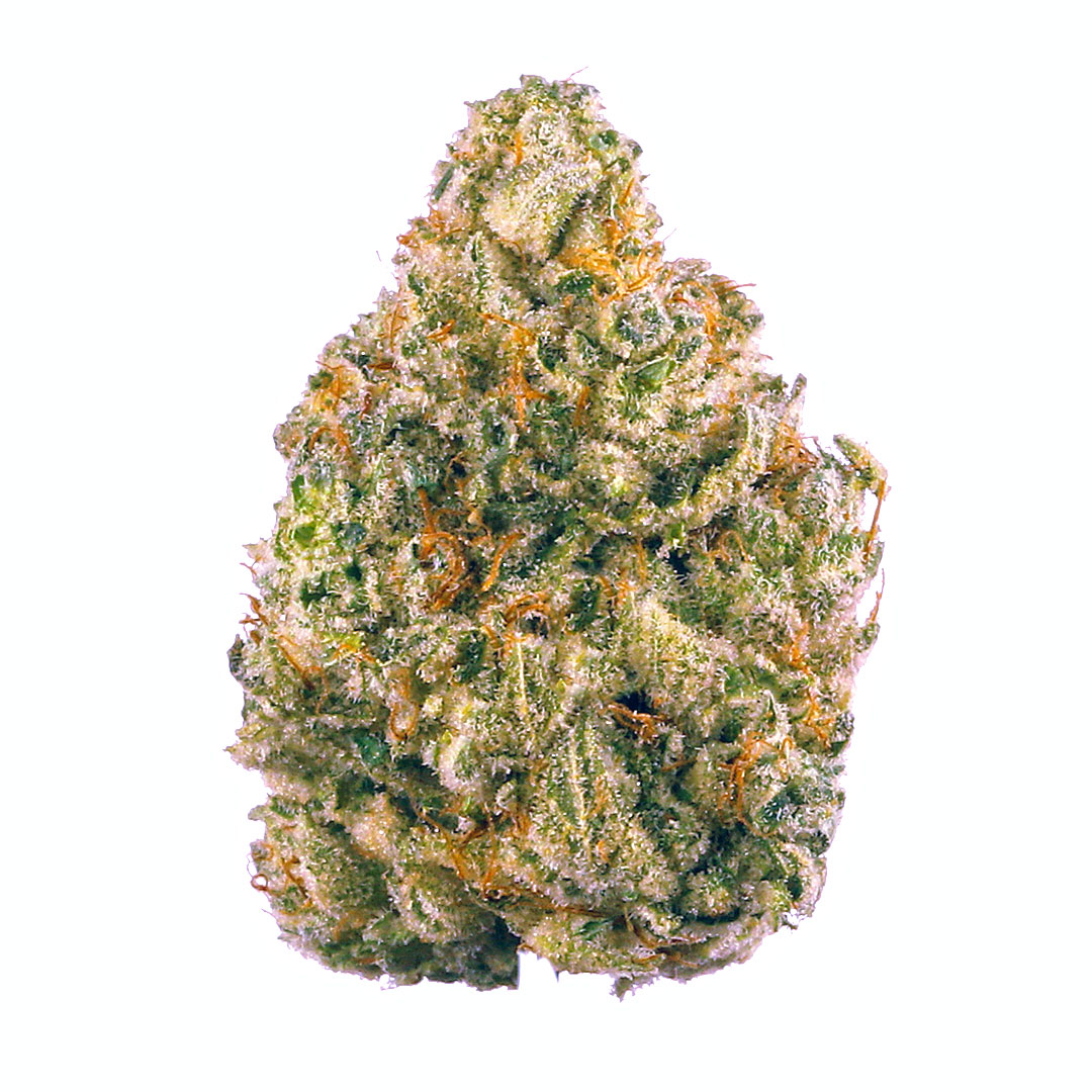 Citrus Sap cannabis strain