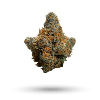 5280 Gravy cannabis strain