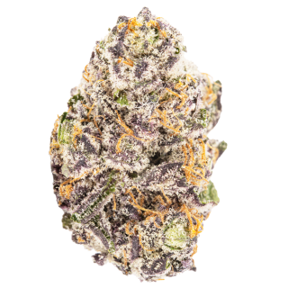 800 Club cannabis strain