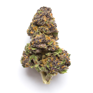 805 Glue cannabis strain