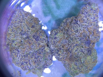 92 Demon cannabis strain