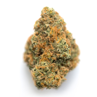 Absinthe cannabis strain