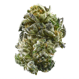 Afghan Diesel cannabis strain