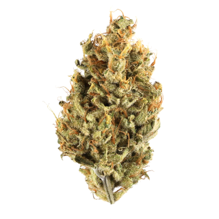Afghan Hawaiian cannabis strain