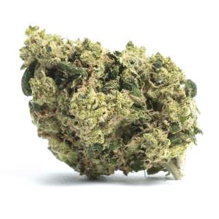 Agent Tangie cannabis strain