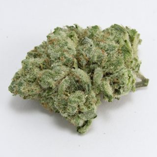 Agent X cannabis strain