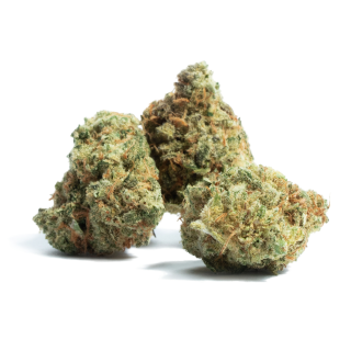 AK Choco Kush cannabis strain