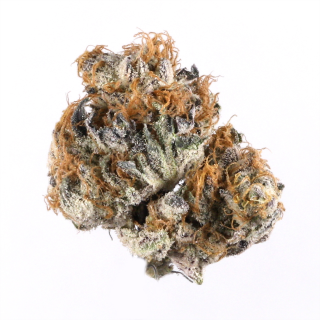 Alien Gelato cannabis strain