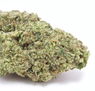 Animal Face cannabis strain