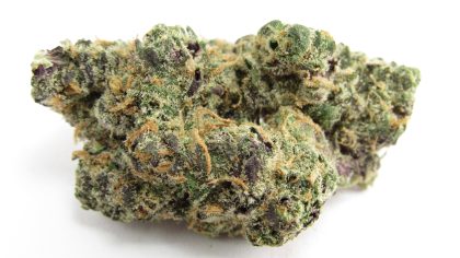 Apples To Apples cannabis strain