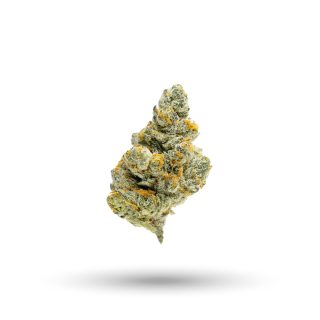Aspen Dreamz cannabis strain