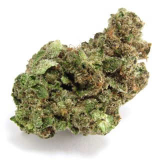 Babby Powder cannabis strain