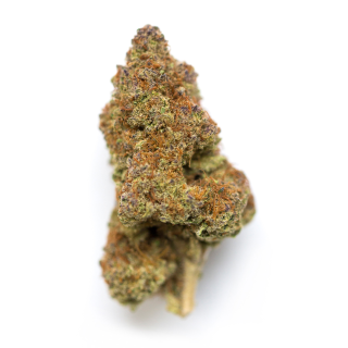 Berkeley cannabis strain