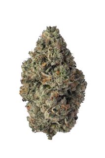 Bernie Hanabutter cannabis strain