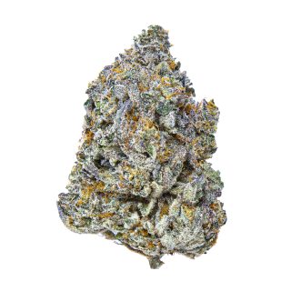 Birthday Cake Kush cannabis strain