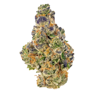 Blanco Berry Kush cannabis strain
