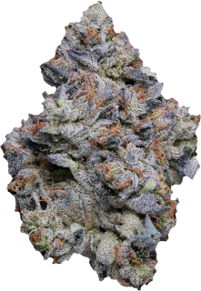 Blue Face cannabis strain