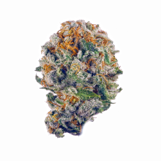 Blue Ox cannabis strain