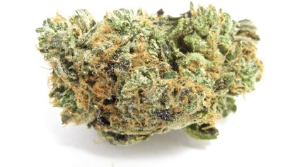 Blue Zushi cannabis strain