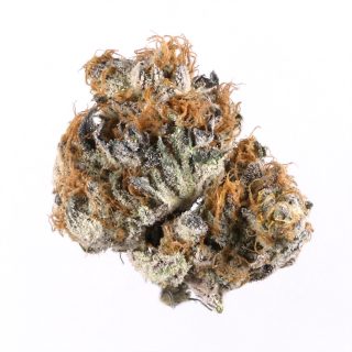Blueberry cannabis strain