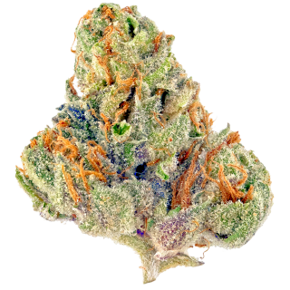 Brand X cannabis strain