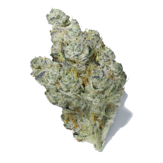 Brownie Scout cannabis strain