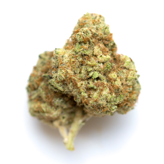 Buddha White Dwarf cannabis strain