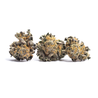 Cambodian Haze cannabis strain