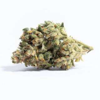 Cambodian Thai cannabis strain