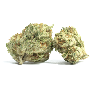 Cannalope Kush cannabis strain