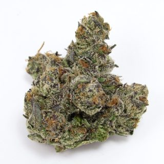 Capital Haze cannabis strain