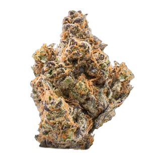 Caribbean Chocolate cannabis strain
