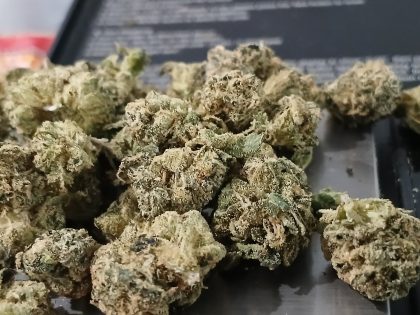 Casino Kush cannabis strain