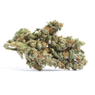 Cheesecake cannabis strain