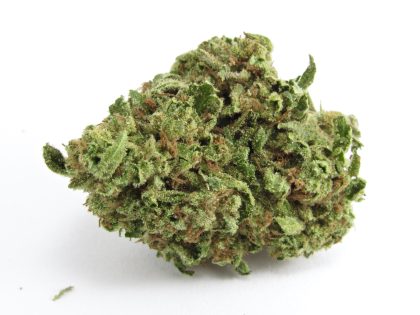 Chemdawg 4 X Alien OG Kush cannabis strain
