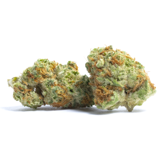 Citrus Sunshine Haze cannabis strain