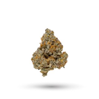 Colorado Creamsicle cannabis strain