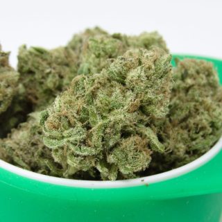Coolio cannabis strain