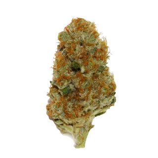 Cream Caramel cannabis strain
