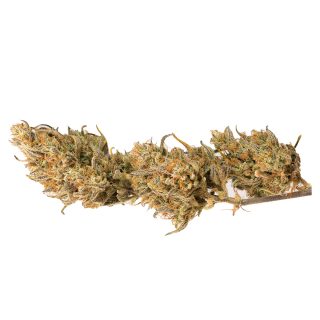 Crystal Candy Xl Auto cannabis strain