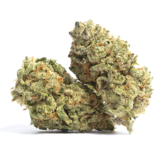 D95 cannabis strain