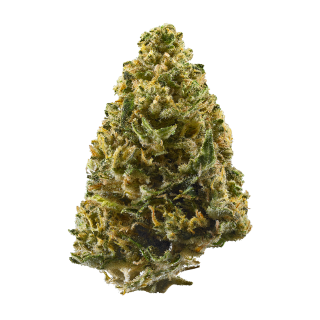 Dark Blue Dream cannabis strain