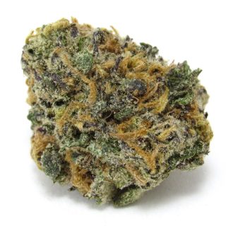 Dark Web cannabis strain