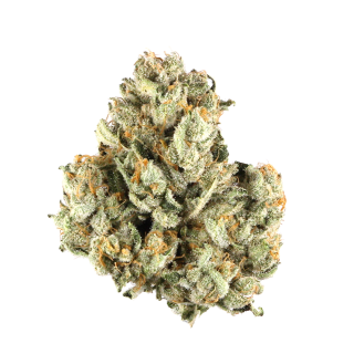 Dayglow cannabis strain