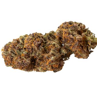 Diablo Rojo Xl Auto cannabis strain