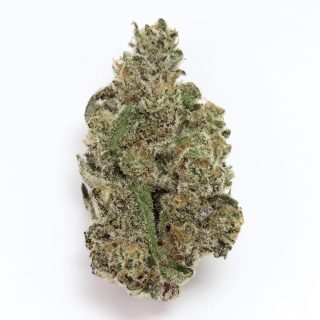 Doppelganger cannabis strain