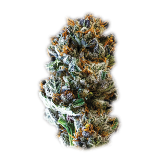 Eternal Death Slayer 3 cannabis strain