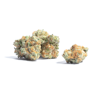 Fat Axl cannabis strain