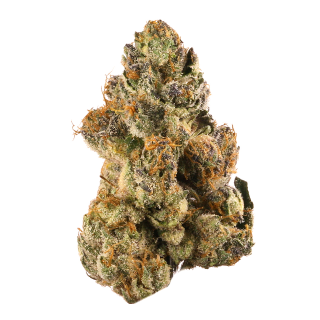 Fat Purple cannabis strain