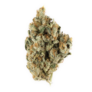 Fatality cannabis strain
